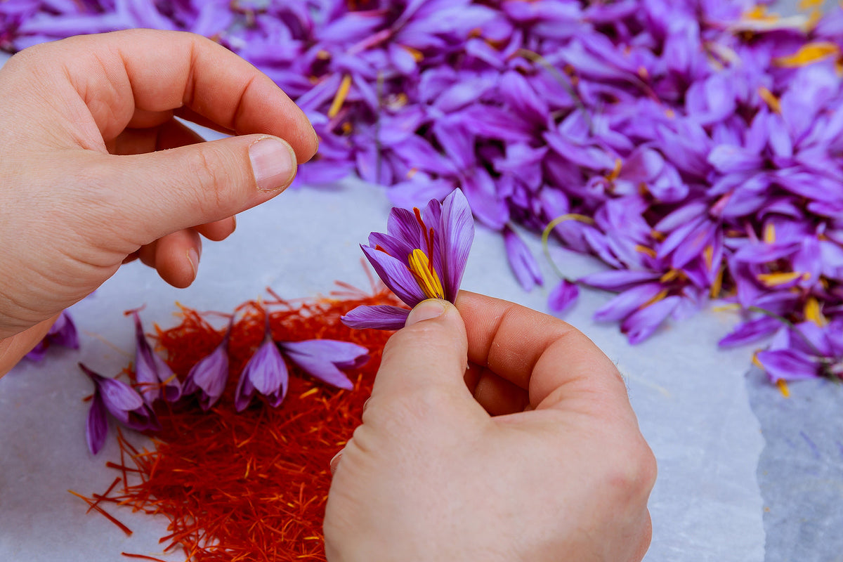 saffron, botanical skincare, antioxidants, radiance