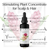 Stimulating Plant Concentrate for Scalp & Hair