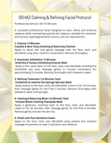 DEHAZ Complete Calming & Refining Facial Protocol Bundle